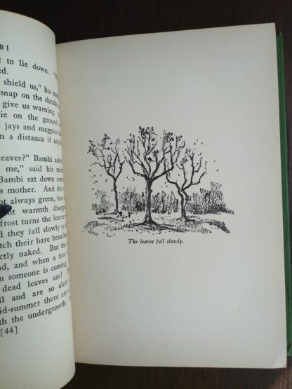 An illustration by Kurt Wiese on page 45 in a 1928 copy of Bambi A life in the Woods