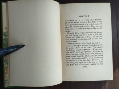 Page 13 in a 1928 First American Printing of Bambi A Life in the Woods
