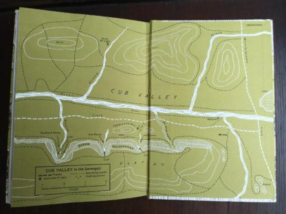 paste down and end paper in the back of a 1962 First Edition copy of Forever Free by Joy Adamson