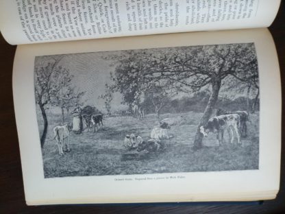 picture by Mark Fisher in the book English Flower Garden by W. Robinson 1913 twelfth edition