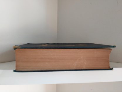textblock view of English Flower Garden by W. Robinson 1913 twelfth edition