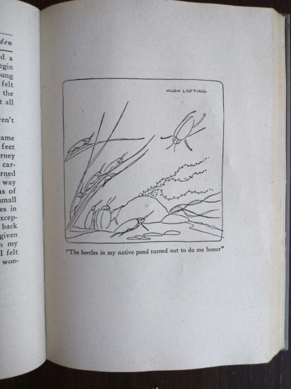 Doctor Dolittles Garden by Hugh Lofting 1927 Eighth Impression illustration of beetles