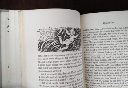 illustration inside Water babies in a childrens Junior Deluxe Editions book, Circa 40s -50s