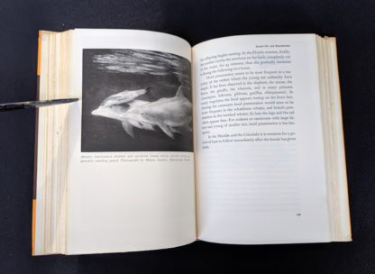 1954 First American Edition copy of The Natural History of Mammals by François Bourlière page 169