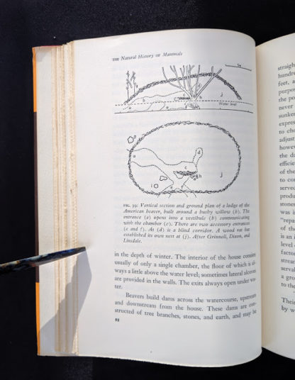 1954 First American Edition copy of The Natural History of Mammals by François Bourlière page 92