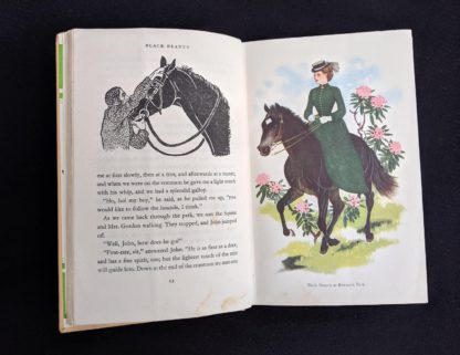 colour illustration of Black Beauty at Birtwick Park in a 1949 copy of Black Beauty by Anna Sewell - The Heirloom Library - first printing