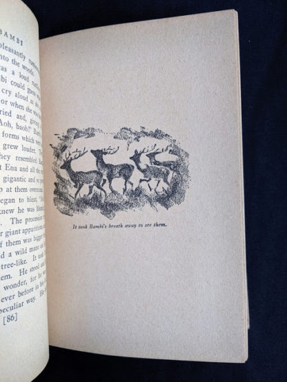 illustration in a 1929 copy of Bambi by Felix Salten published by Grosset & Dunlap
