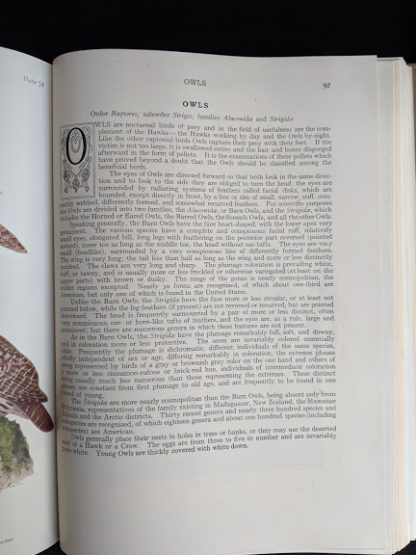 1936 copy of BIRDS OF AMERICA with 106 Color Plates published by Doubleday & Company - Owls