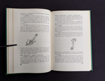 1959 copy of Rock Garden Plants - New Ways to Use Then Around Your Home by Doretta Klaber - detailed plant descriptions