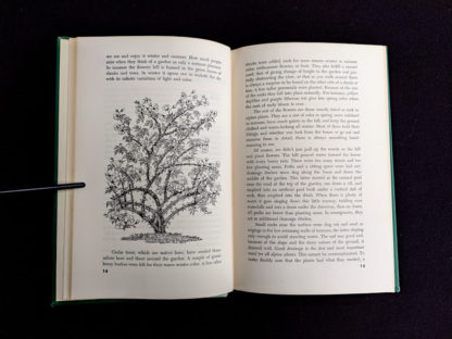 illustration of a cedar tree in a 1959 copy of Rock Garden Plants - New Ways to Use Then Around Your Home by Doretta Klaber