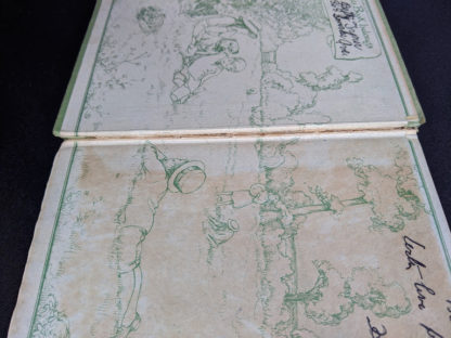 full hinge split inside a 1915 copy of Marys Meadow and Other Tales of Field Flowers by Juliana Horatia Ewing