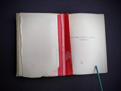 hinge badly repaired with tape inside a 1915 copy of Marys Meadow and Other Tales of Field Flowers by Juliana Horatia Ewing