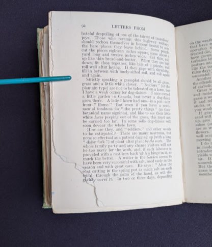 page 89 to 92 torn inside a 1915 copy of Marys Meadow and Other Tales of Field Flowers by Juliana Horatia Ewing