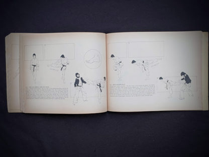 Side Kick and Rear Kick - 1975 The Beginners Guide to KUNG-FU by Felix Dennis & Paul Simmons - First Printing