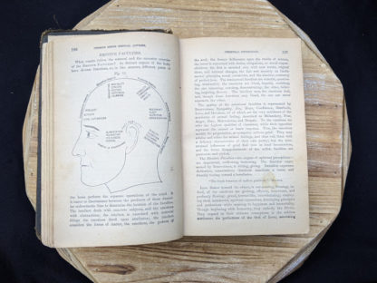 illustration of Emotive Faculties -1895 The Peoples Common Sense Medical Adviser by R.V. Pierce M.D.
