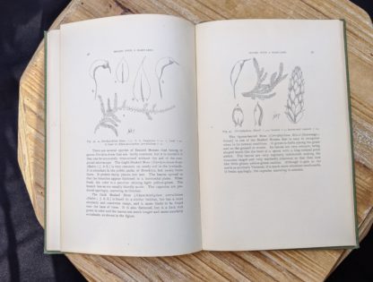 1900 - Mosses with a Hand-Lens - A Non - Technical Handbook of the More Recognized Mosses of the North-Eastern United States - By A J Grout - page 46 and 47