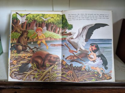 1973 Journey to the Blue Lake - The Adventures of Dinky and Flora - pages inside
