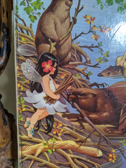 front cover up close on a 1973 copy of Journey to the Blue Lake - The Adventures of Dinky and Flora