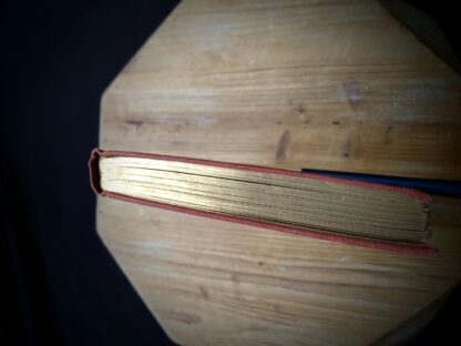 top edge of textblock is gold gilt on a 1904 copy of The Day of the Dog by George Barr McCutcheon - First Edition