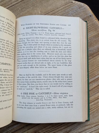 Night Flowering Catchfly - Silene Noctiflora - 1939 copy of Wild Flowers of the Northern States and Canada by Arthur Craig Quick - First Edition
