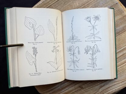 sketches of wild flowers - 1939 copy of Wild Flowers of the Northern States and Canada by Arthur Craig Quick - First Edition