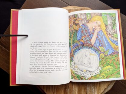 illustration of Alicia and the unicorn - 1981 One Unicorn - written and illustrated by Gale Cooper - First Edition