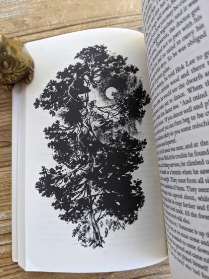 illustration by Margery Gill inside a 1977 copy of The Rainbow Fairy Book - Andrew Lang