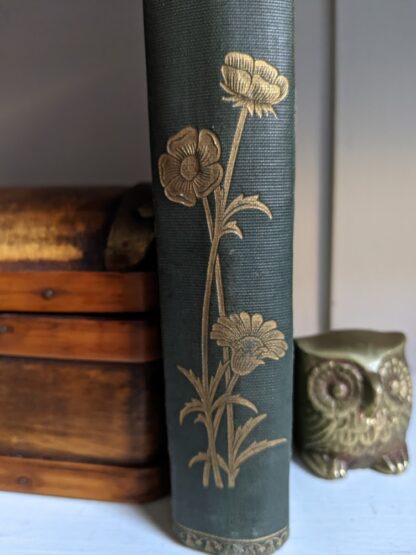 Spine view up close - uncommon copy of The Life and Adventures of Martin Chuzzlewit by Charles Dickens - Circa 1880's - undated