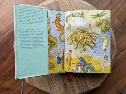 front pastedown and endpaper - 1979 The Water Babies {a fairy tale for a land-baby} by Charles Kingsley - First Published in this edition by Mayflower Books Inc. - Facsimile Classics Series