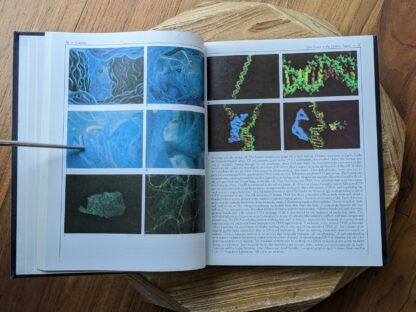 1980 Cosmos by Carl Sagan - images inside