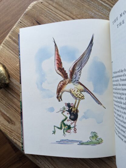 illustration by Fritz Kredel - The Cat and Fox - 1978 Aesop’s Fables - Illustrated Junior Library Edition - drawings by Fritz Kredel