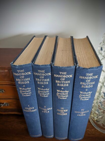 1949 The Handbook of British Birds - sixth impression - Volume 1 to 4 - head of textblock