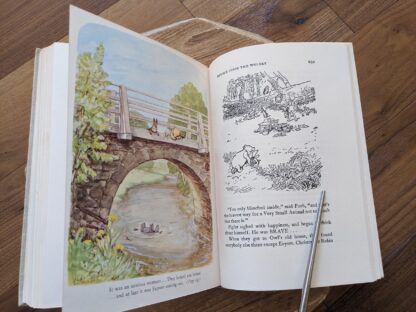 Eeyore finds the wolery - colour illustration by E. H. Shepard - 1957 The World of Pooh