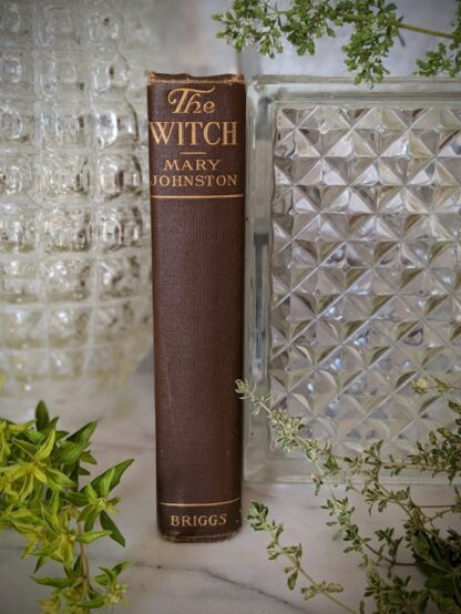 Spine cover view - 1914 The Witch by Mary Johnston - First Edition