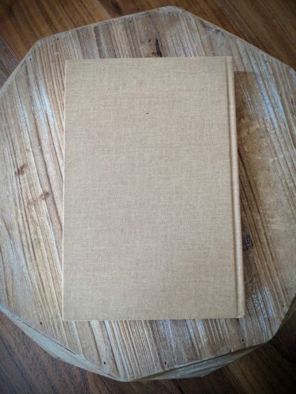 back panel