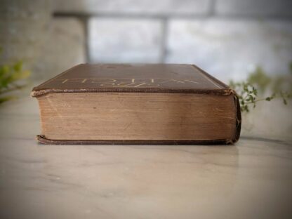 top edge of textblock - 1914 The Witch by Mary Johnston - First Edition