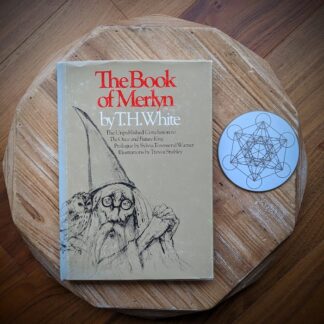1977 The Book of Merlin by T.H White - second printing