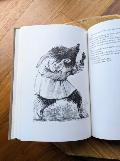 Badger illustration by Trevor Stubley - 1977 The Book of Merlin by T.H White - second printing