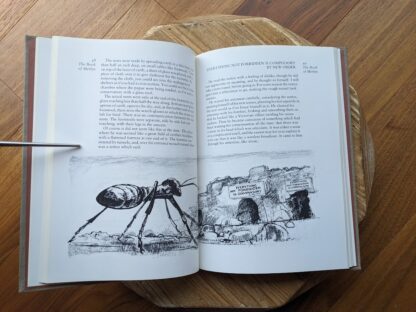 illustration by Trevor Stubley - 1977 The Book of Merlin by T.H White - second printing