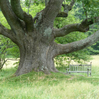 Metaphysical and Well Being